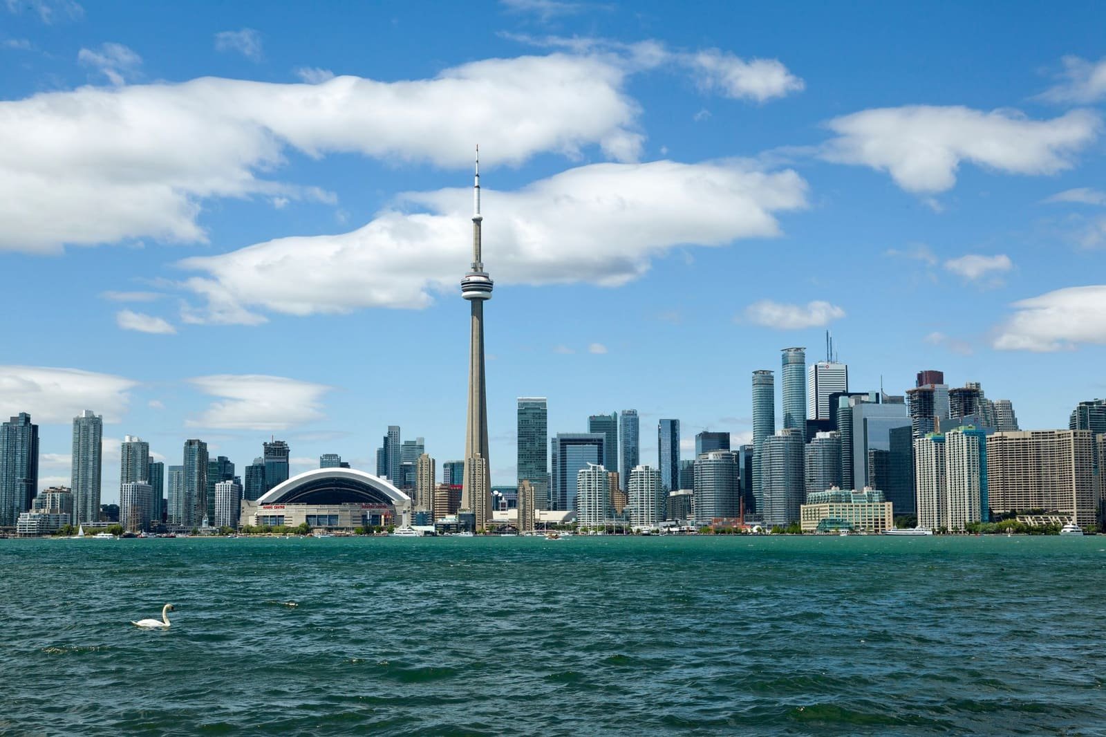 The Toronto skyline and CN Tower seen from the lake on a clear day