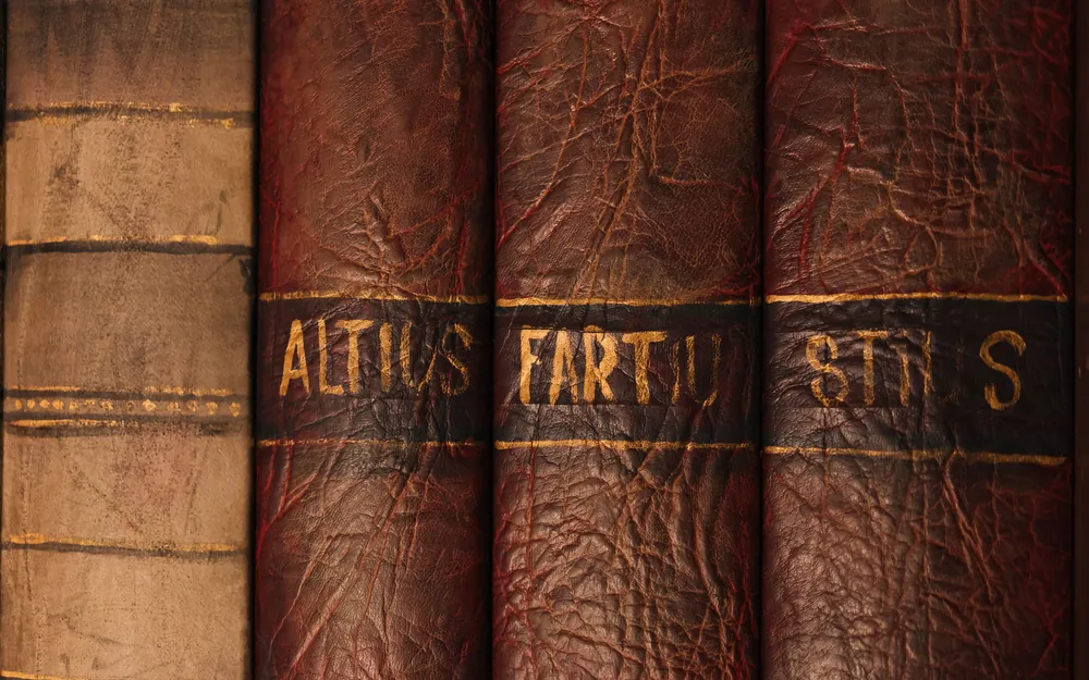 Close-up of worn leather spines on a row of antique books
