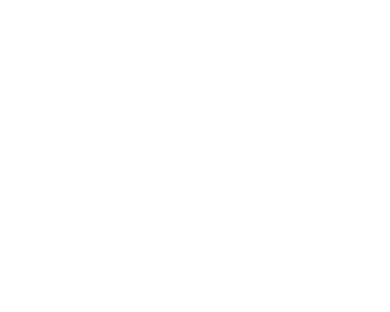 McMaster University