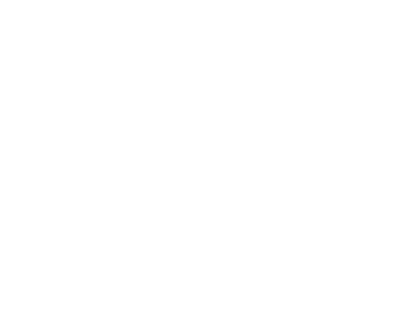 Mike Holmes Inspections